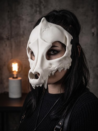 Wolf skull half - skull, canine