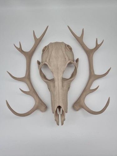 Maschera teschio wendigo - maschera,