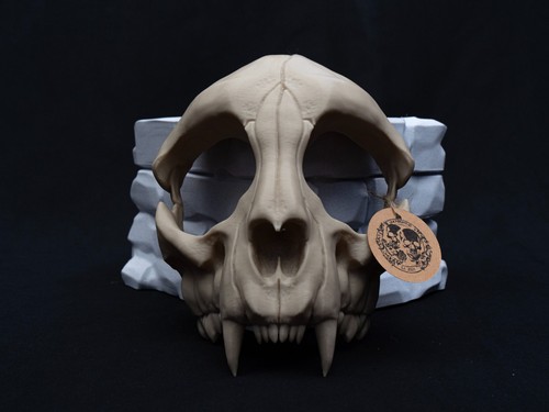Cat skull half face mask - skull,